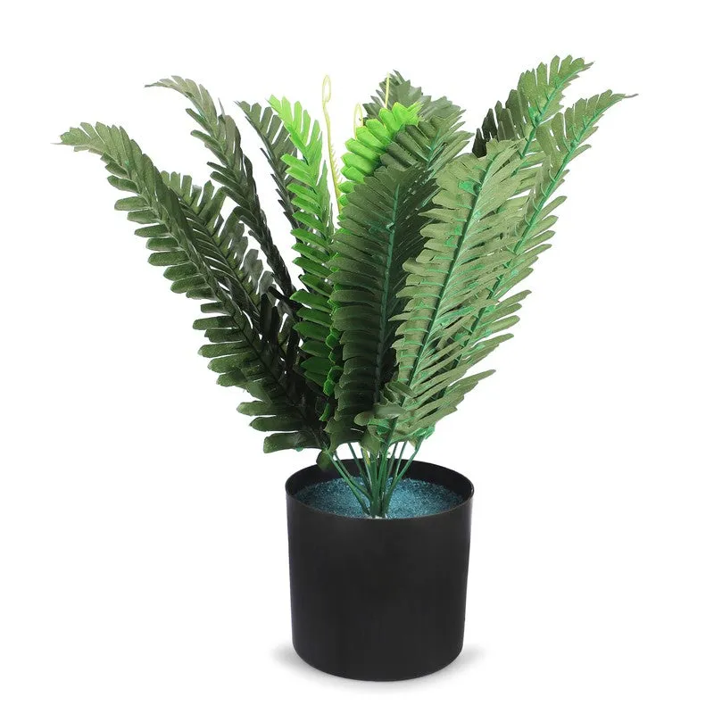 Leaflix Fern Artificial Plant With Plastic Pot - 1.3 Feet media 4