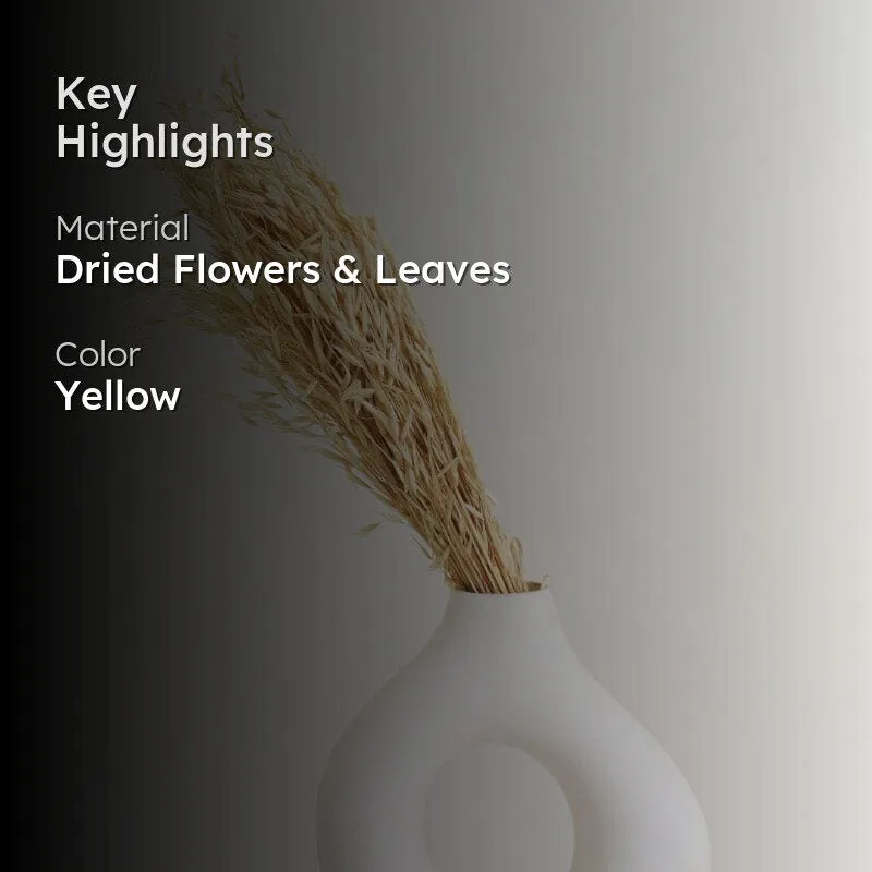 Hazo Millet Grass Dried Havana Grass Bunch - White media 2
