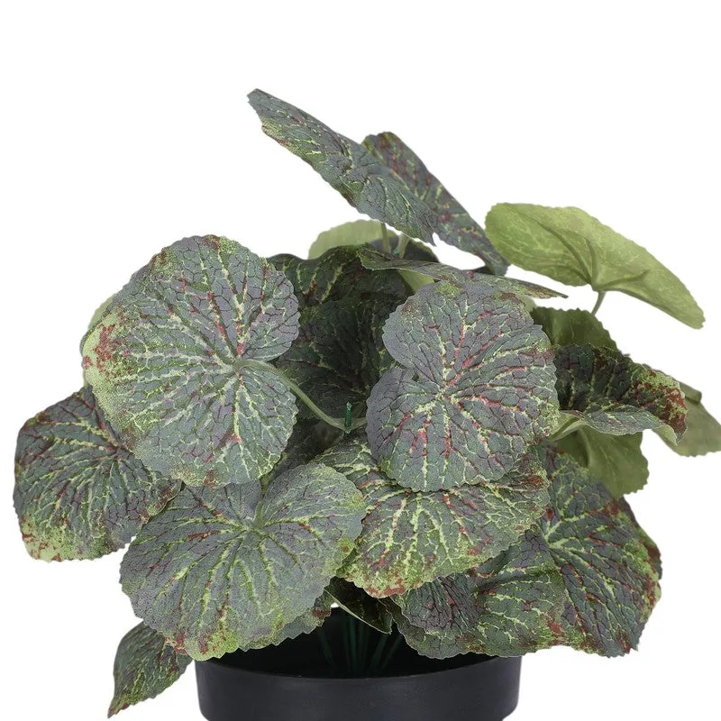 Artificial Green Begonia Plant With Black Plastic Pot media 2