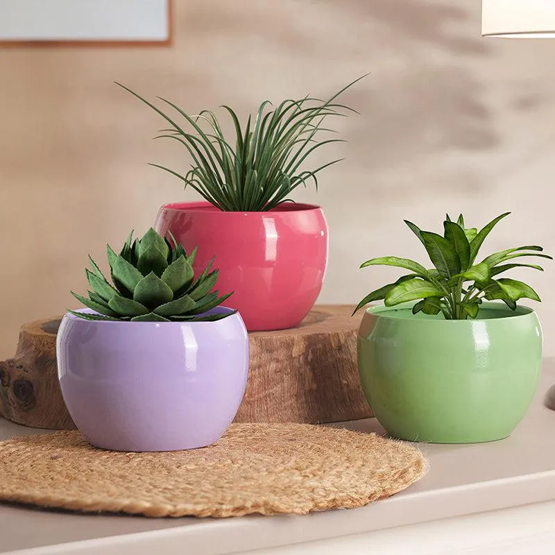 Nectera Metal Planter (Purple/Pink/Green) - Set Of Three media 2