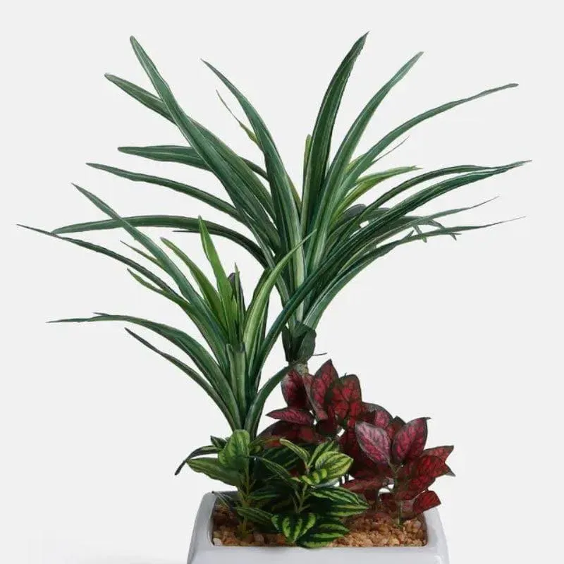 Faux Araceae Bonsai In Ceramic Pot - 34 cms media 3