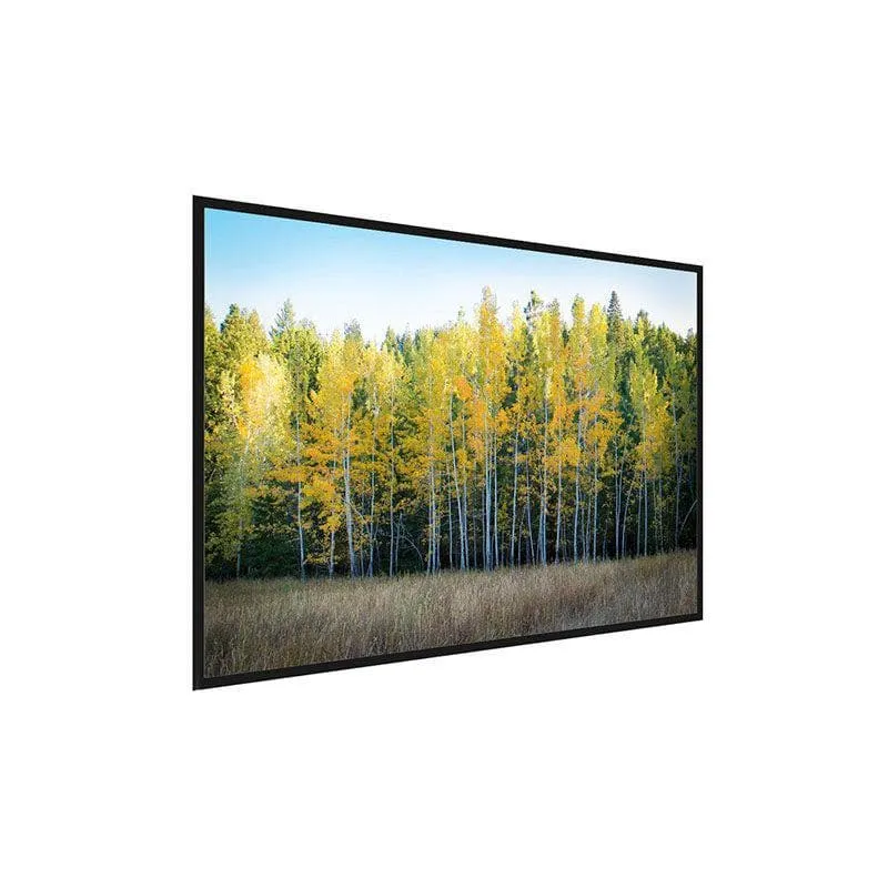 Birch Trees Canvas Wall Painting - Black Frame media 3