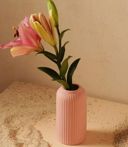 Ceramic