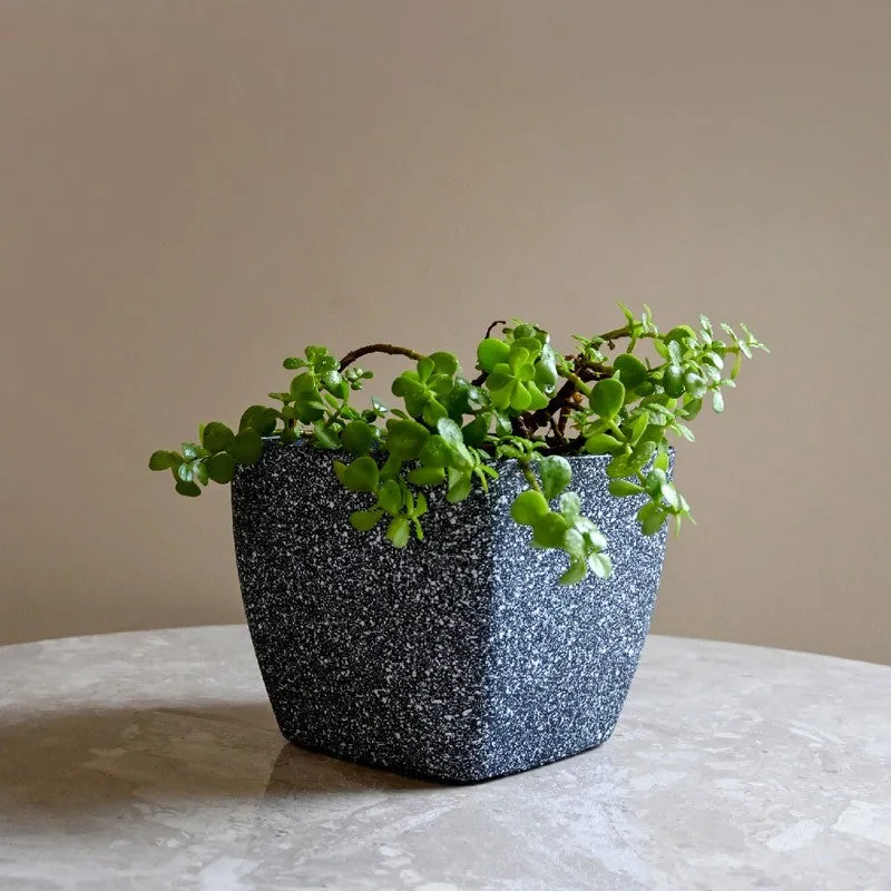 Monvia Garden Planter - Set Of Three media 6