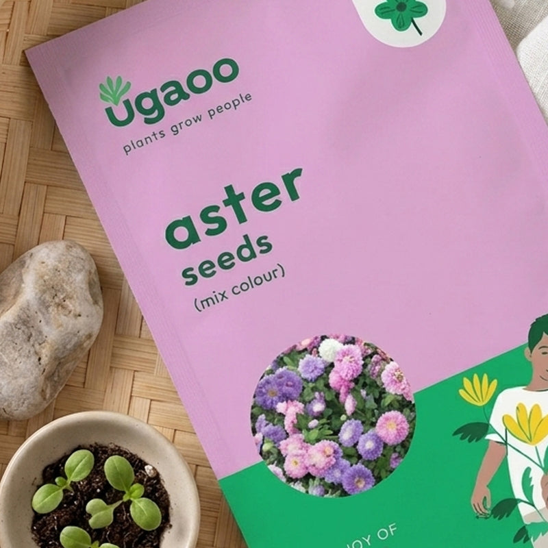 Ugaoo Aster Mix Seeds media 3