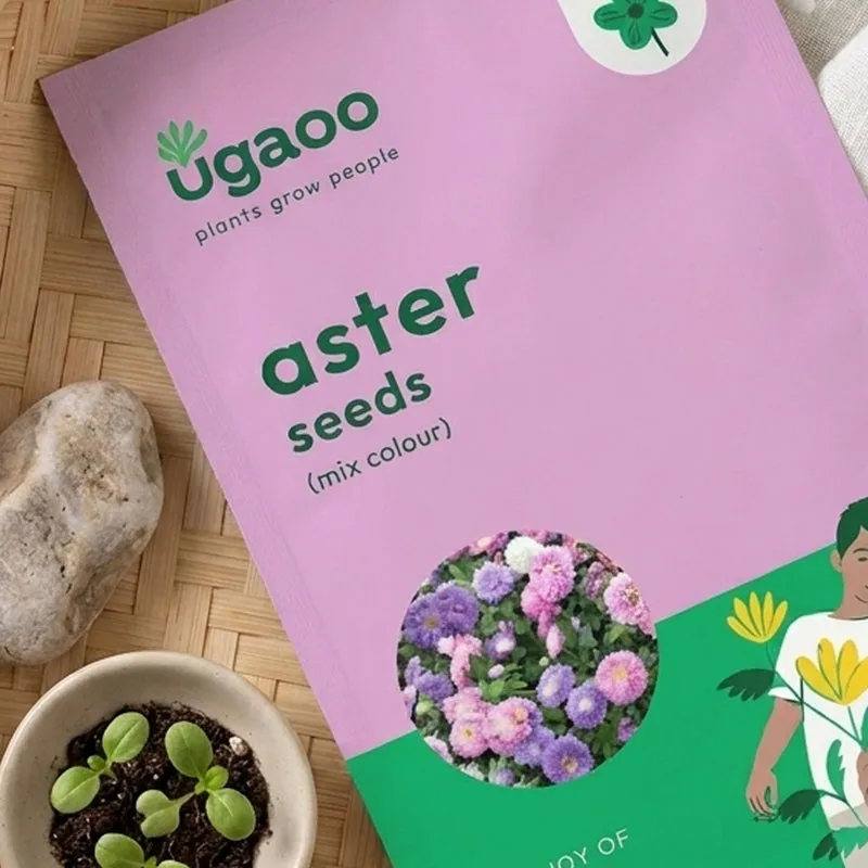 Ugaoo Aster Mix Seeds media 3