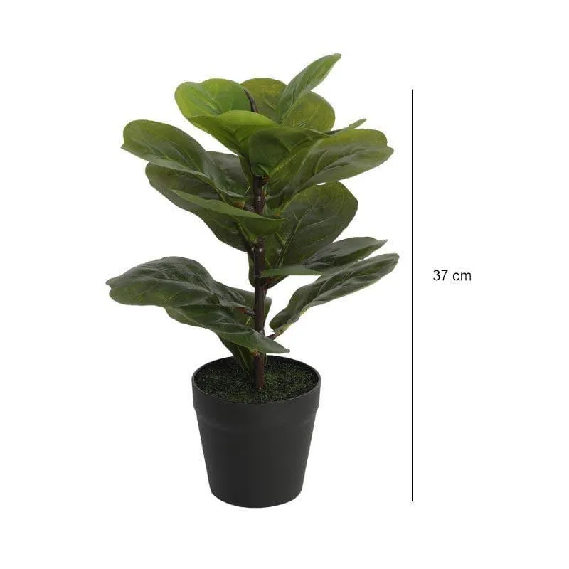 Faux Fiddle Bonsai In Cone Pot - 37 cms media 4