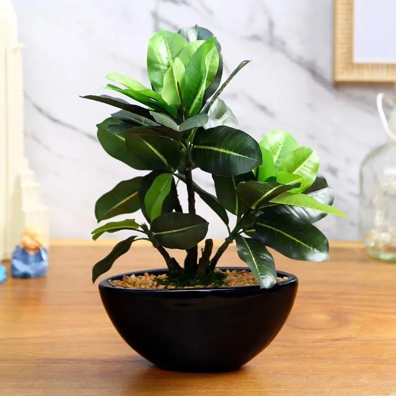 Faux Quercus Bonsai In Bowl Black Plastic Pot (29 cms) - Green media 1