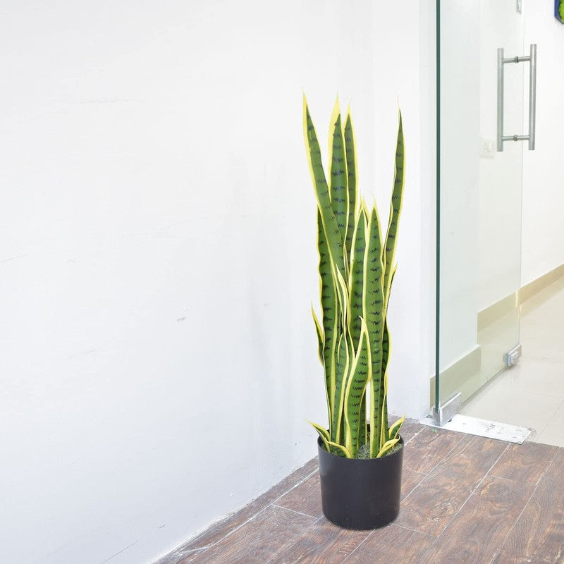 Plantae Artificial Snake Plant With Black Plastic Pot - 3.2 Feet media 5