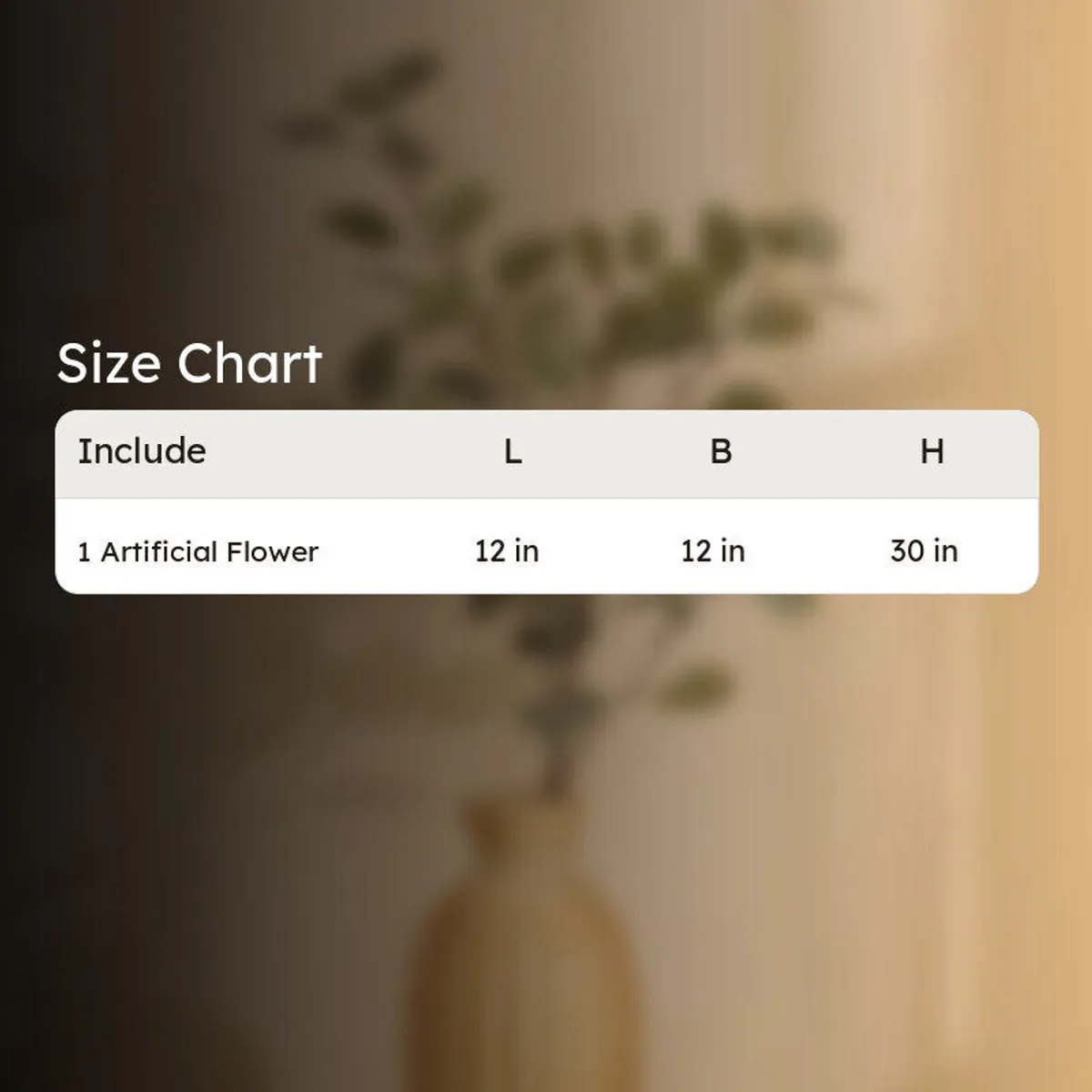 Blurred product backdrop with size chart graphic for the eucalyptus stick