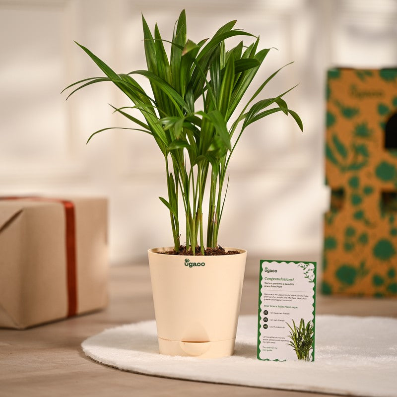 Live Plants