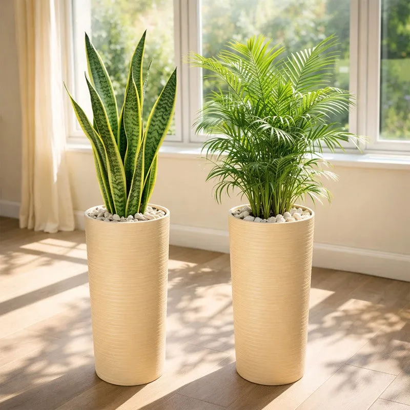 Root Aura Planters - Set Of Two media 4