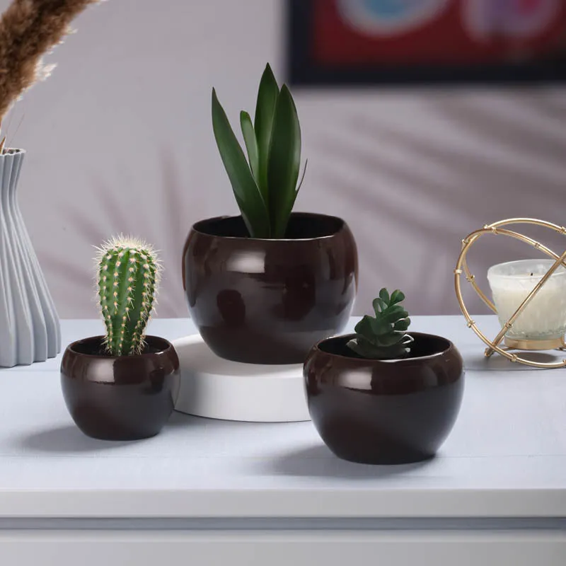 Alisha Handcrafted Planter (Black) - Set Of Three media 7