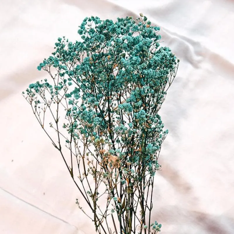 Naturally Dried Baby Breath Gypsophila Stems (Turquoise) - Set Of Five media 3