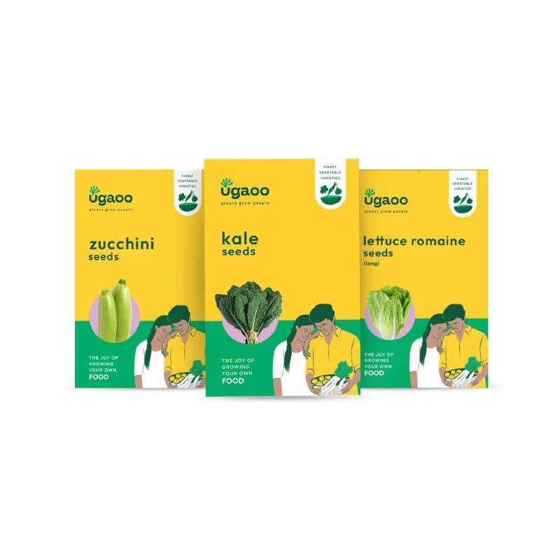 Ugaoo Veges Seeds (Kale, Lettuce, Zuccini) - Set Of Three media 3