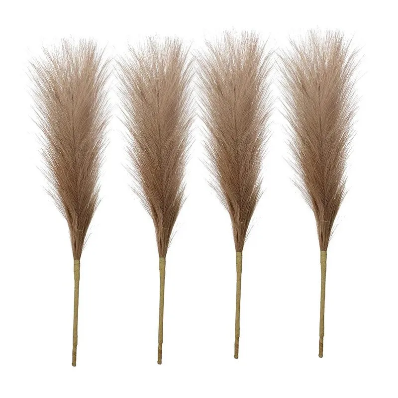 Four brown feathery pampas grass stems displayed side by side