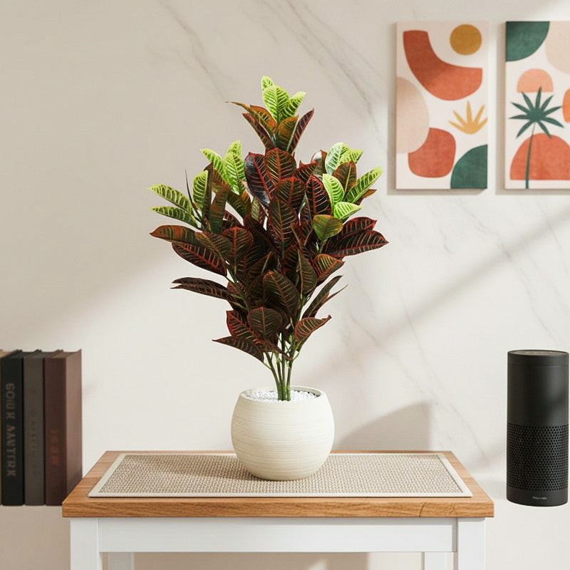 Cindra Artificial Red Croton Plant With Black Plastic Pot - 2.8 Feet