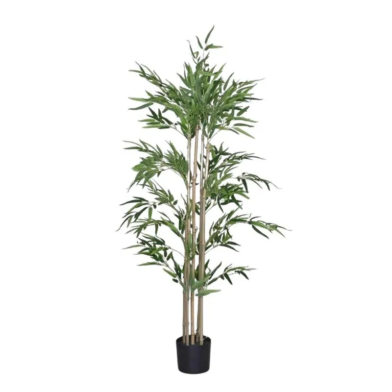 Greenea Evergreen Bamboo Plant With Black Fiber Pot - 4.9 Feet media 4