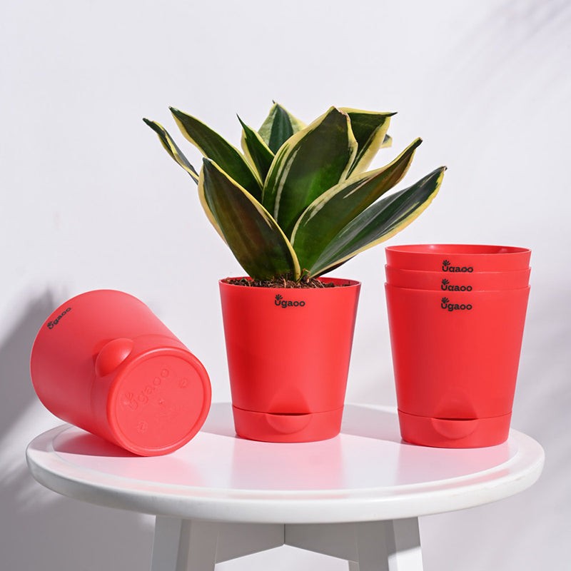 Ugaoo Bare Root Plastic Planter (Red) - Set Of Five media 2