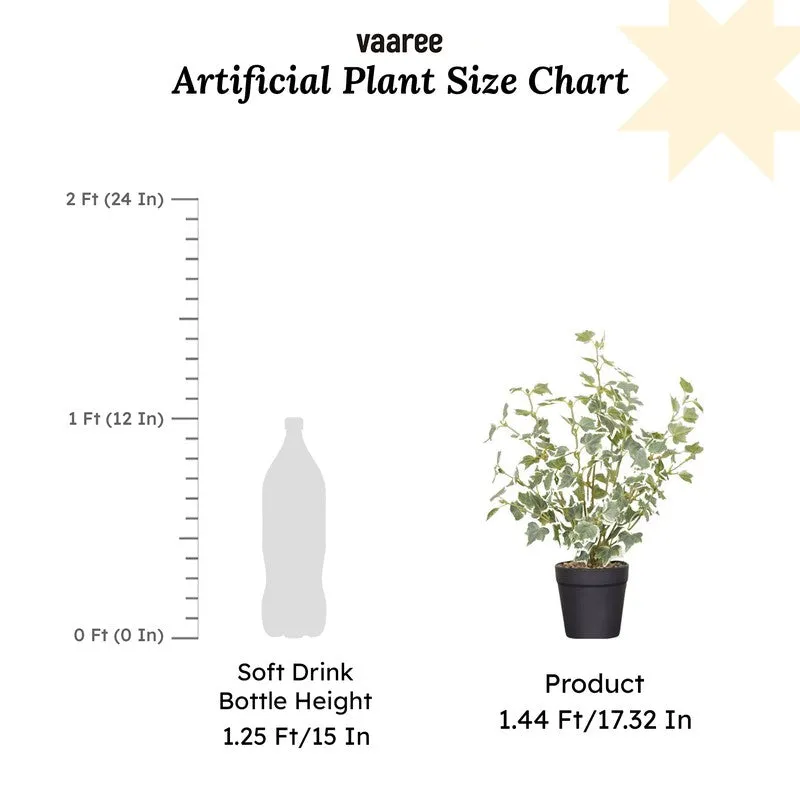 Artificial Frosted Ivy Plant With Black Fiber Pot - 1.4 Feet media 7