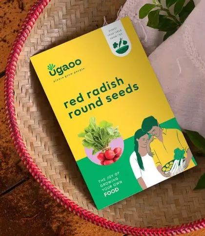 Seeds