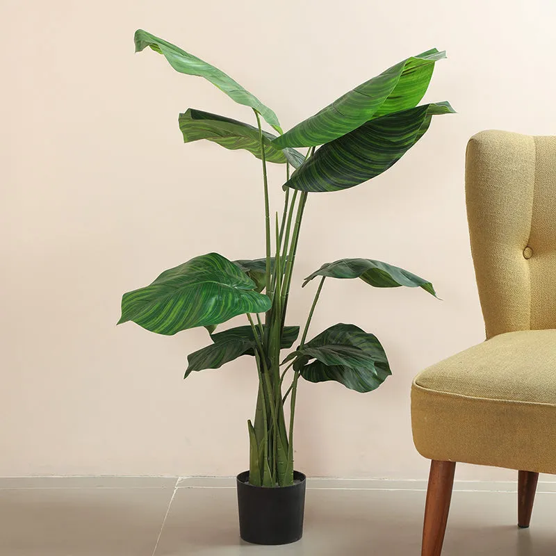 Verona Artificial Banana Plant With Black Plastic Pot - 4 Feet media 3