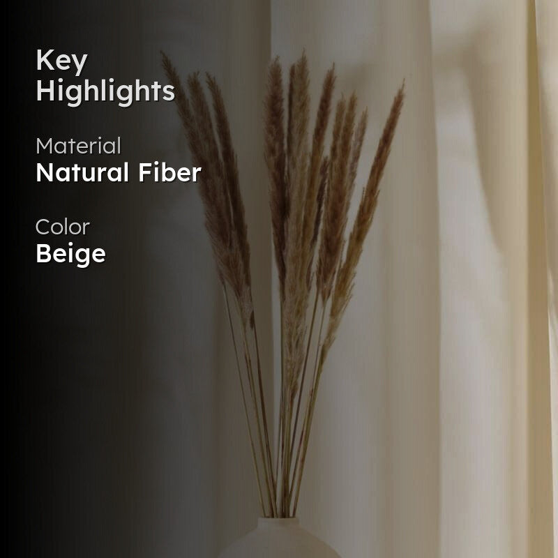Foxtail Pampas Stems (2.62 ft) - Natural media 2