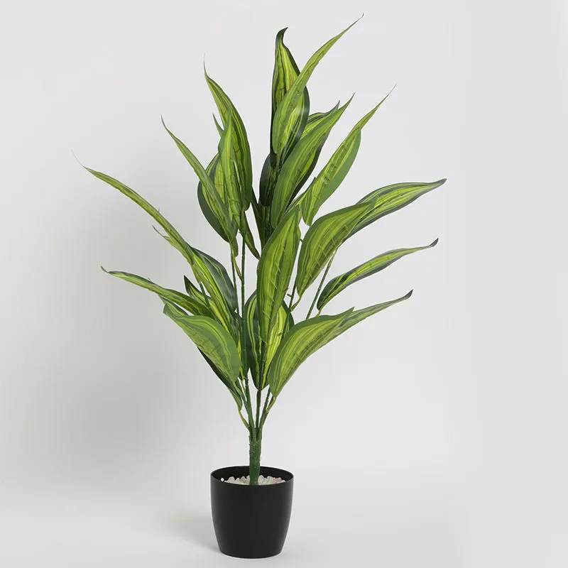 Faux Norma Corton Plant With Black Plastic Pot - 2.2 Feet media 4