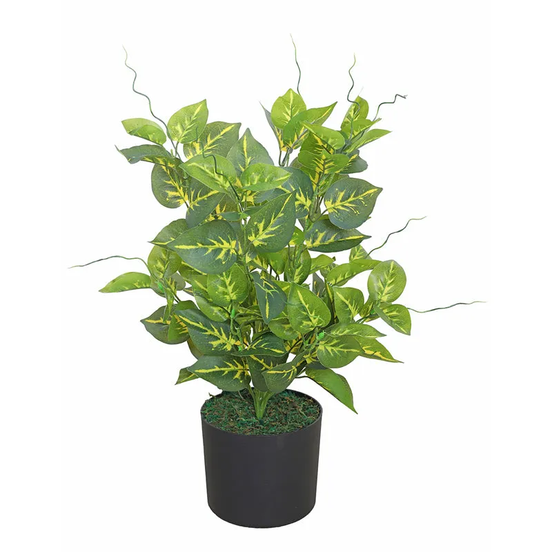 Evergreen Mirage Artificial Plant With Black Plastic Pot media 3