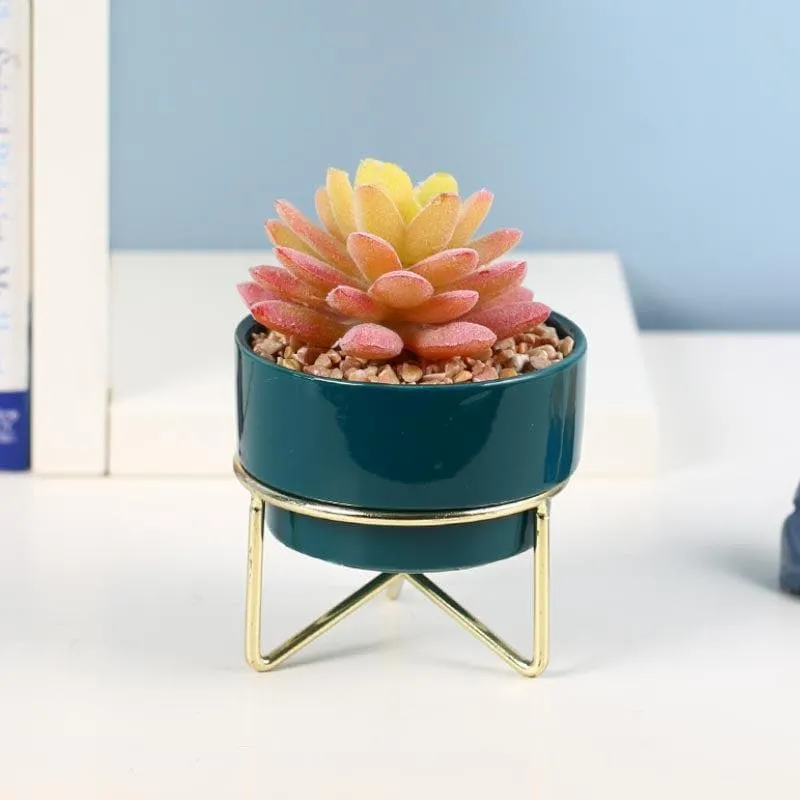 Faux Graptopetalum In Ceramic Pot - 11.5 cms media 1