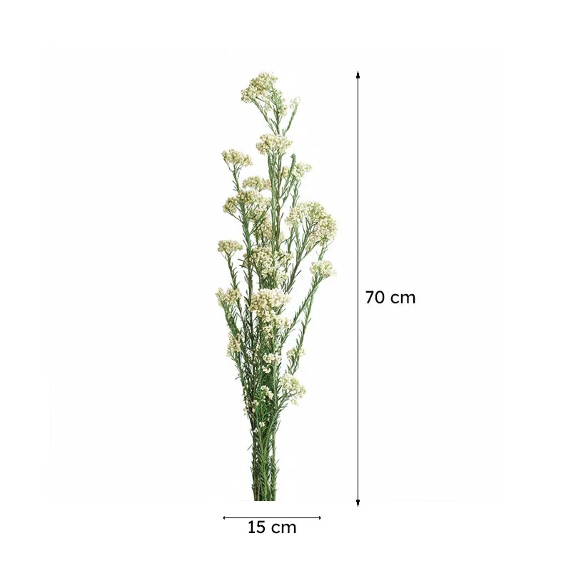 Artificial Rice Flower Stem (White & Green) - Set Of Three media 7