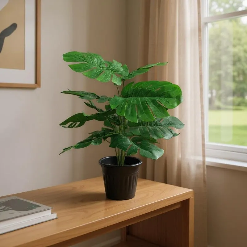ClayVine Artificial Mostera Plant - 1.5 Feet media 2
