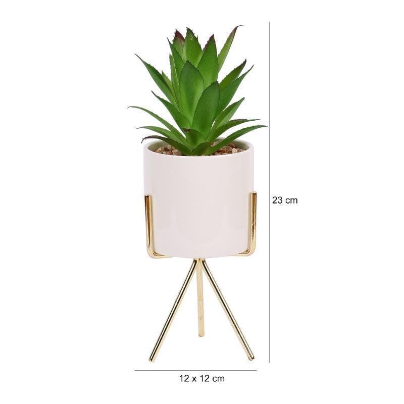 Faux Agave In White Pot With Tripod - 25 cms media 5