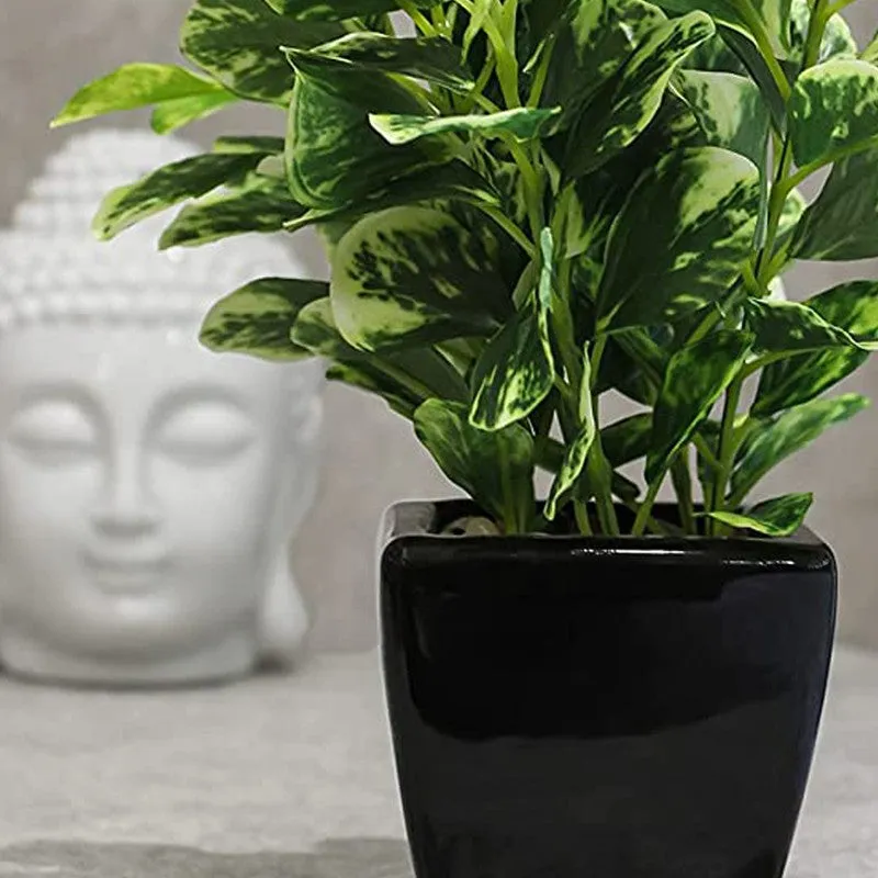 Artificial Coin Leaf Bonsai Plant With Ceramic Pot - 0.7 Feet media 3