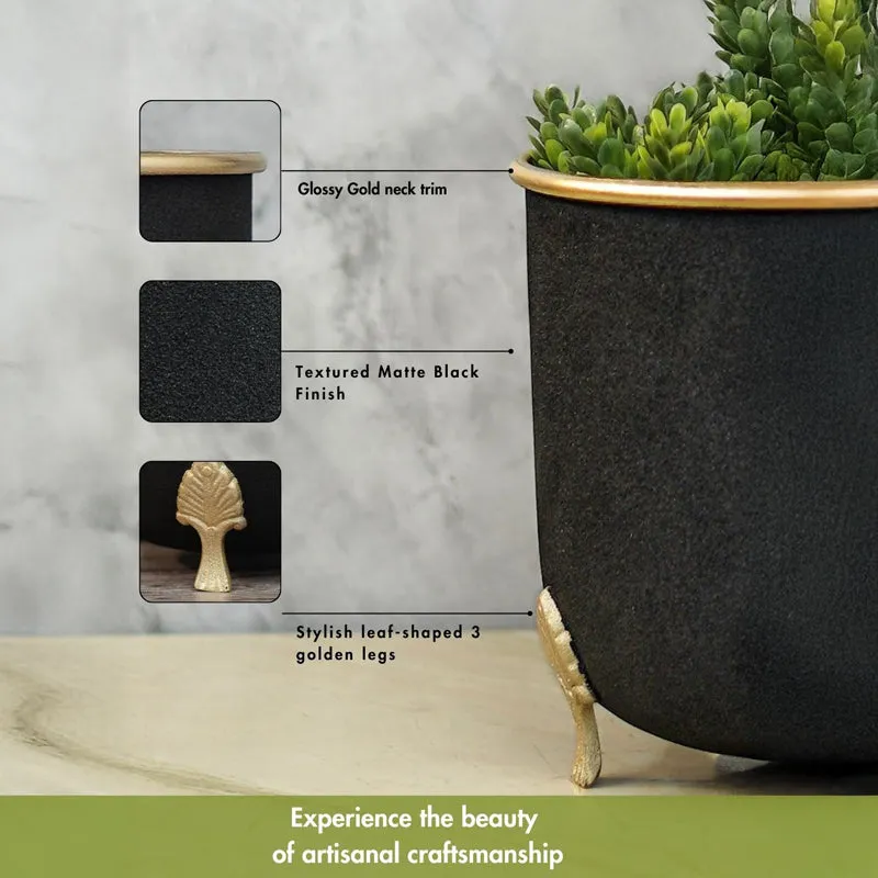 Verdra Metal Planter media 6