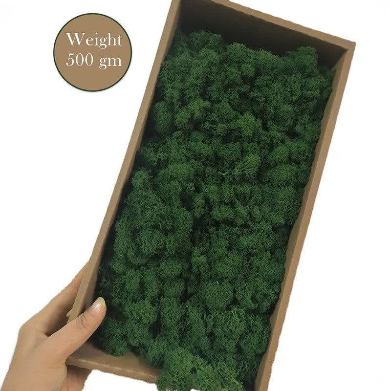 Vibrant Artificial Moss Bunch media 3