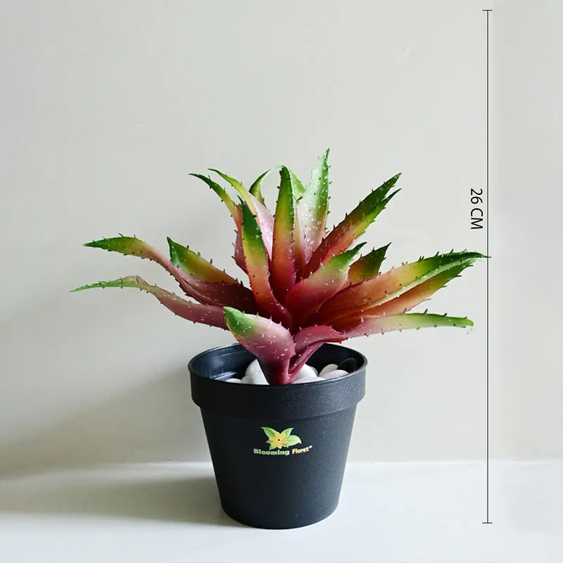 Alvera  Artificial Aloe Vera Plant With Black Plastic Pot (Pink) - 24 cm media 6