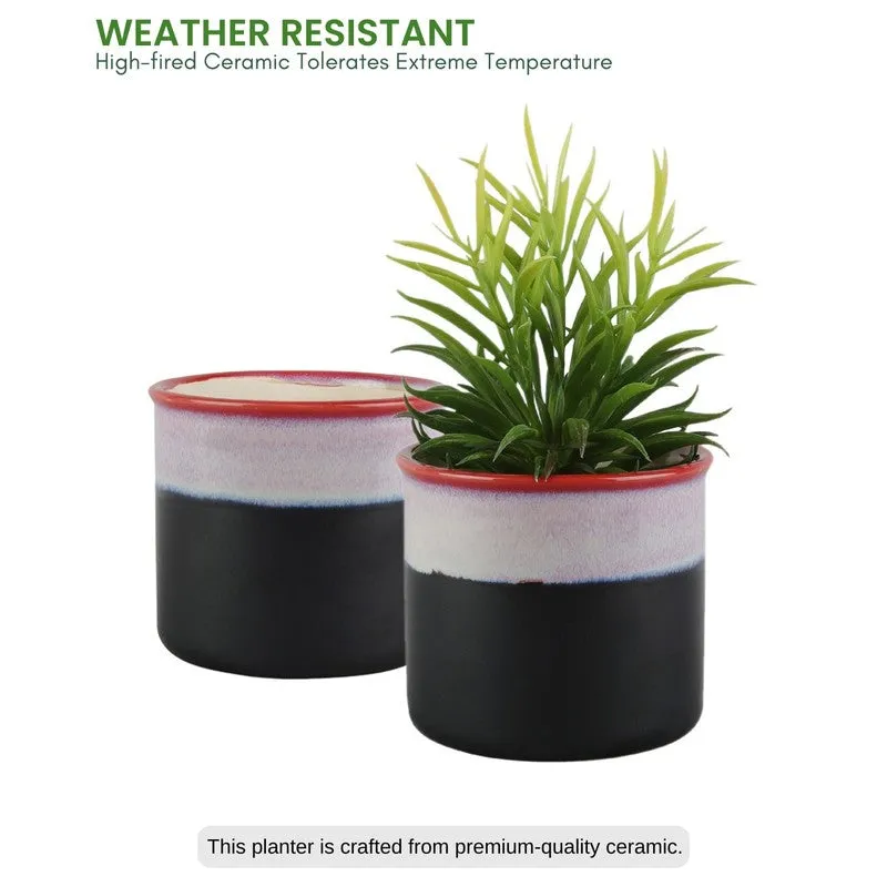 LuxeBloom Planter Collection - Set Of Two media 5