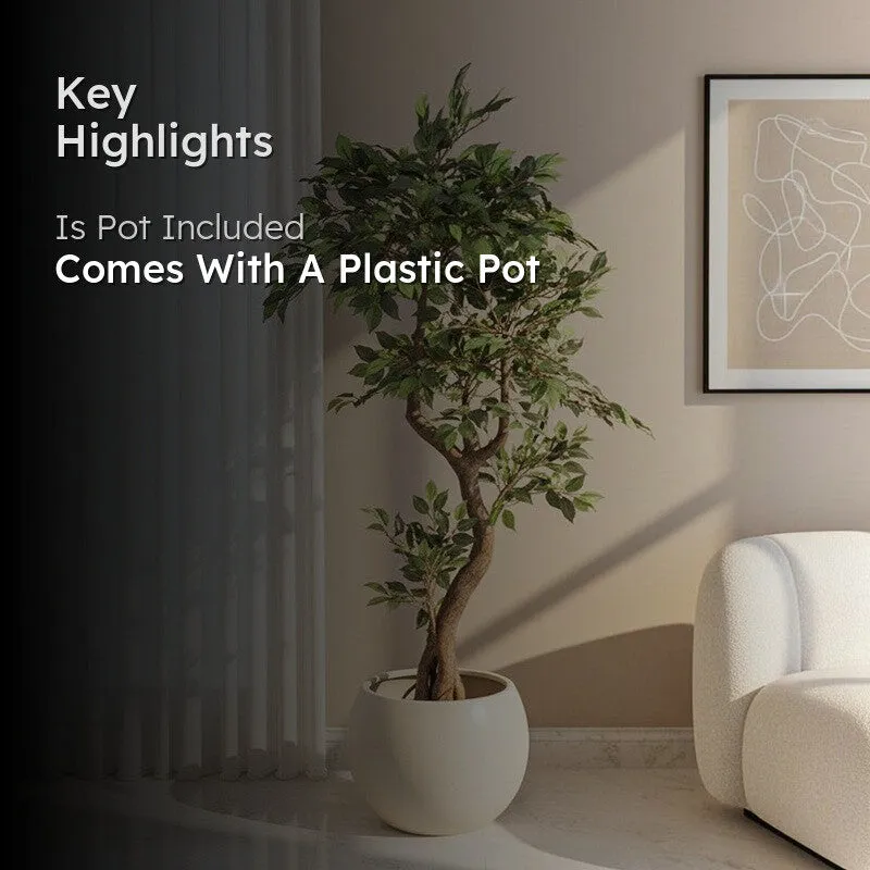Artificial ficus in a black plastic pot shown with a key highlights overlay