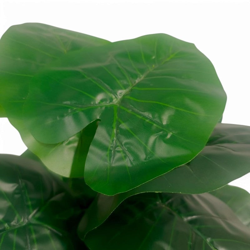 Mossique Artificial Elephant Ear Plant - 1.5 Feet media 4