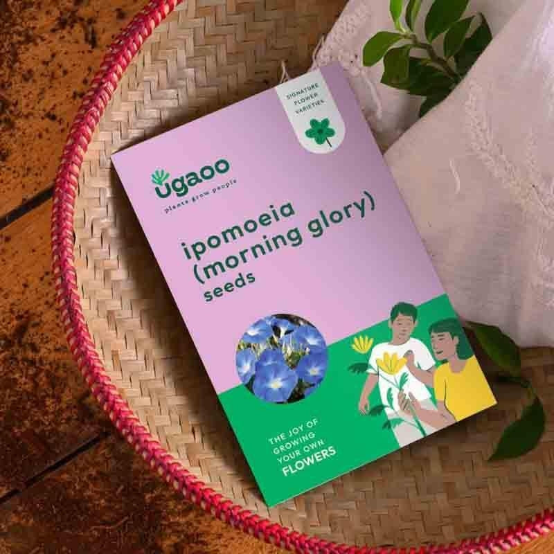 Ugaoo Ipomoea Seeds media 4