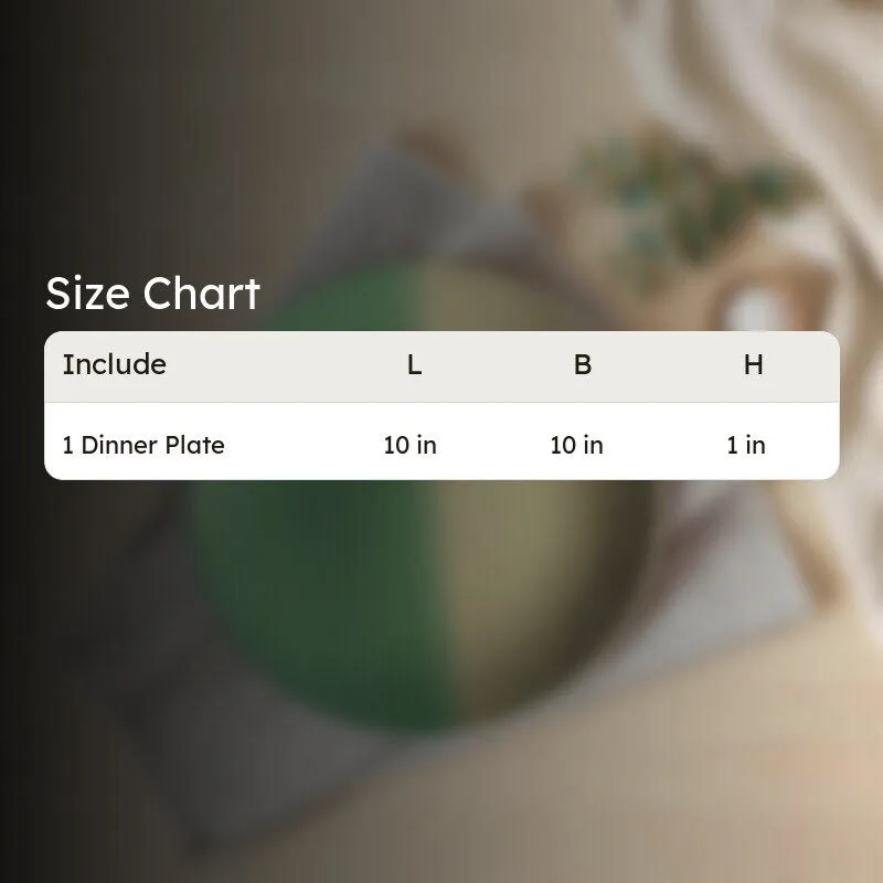 TablePoint Ceramic Dinner Plate media 8