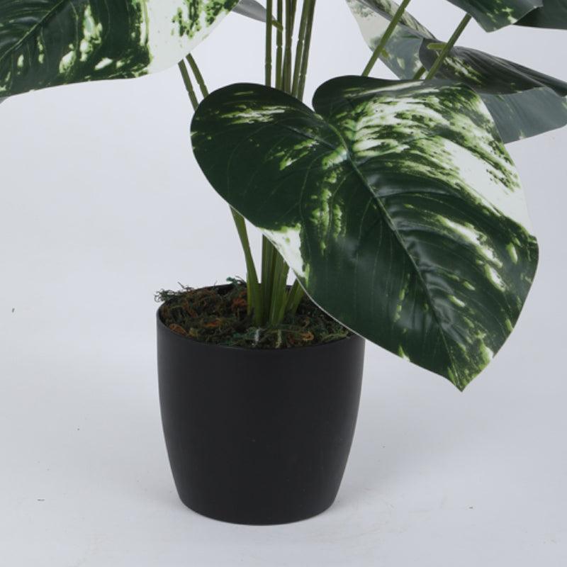Faux White Patch Monstera Silk Plant With Black Plastic Pot - 55 cms media 3