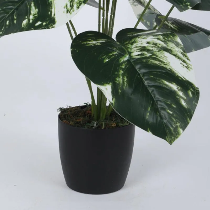 Faux White Patch Monstera Silk Plant With Black Plastic Pot - 55 cms media 3