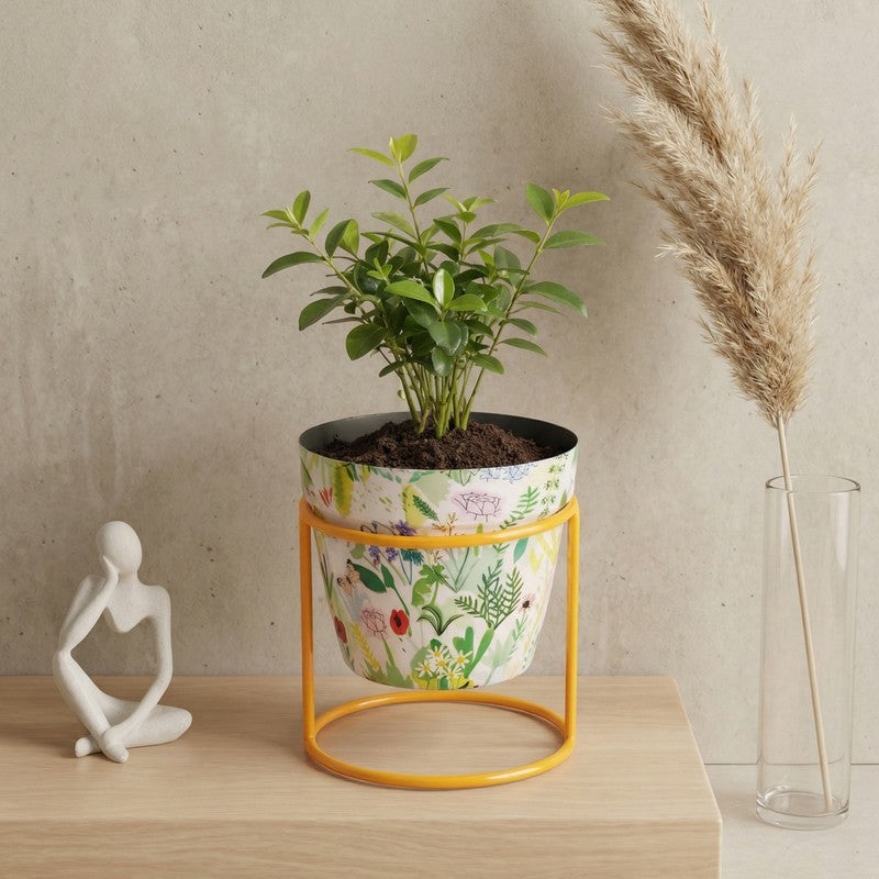 Concrete Metal Planters With Stand - Two Piece Set media 7