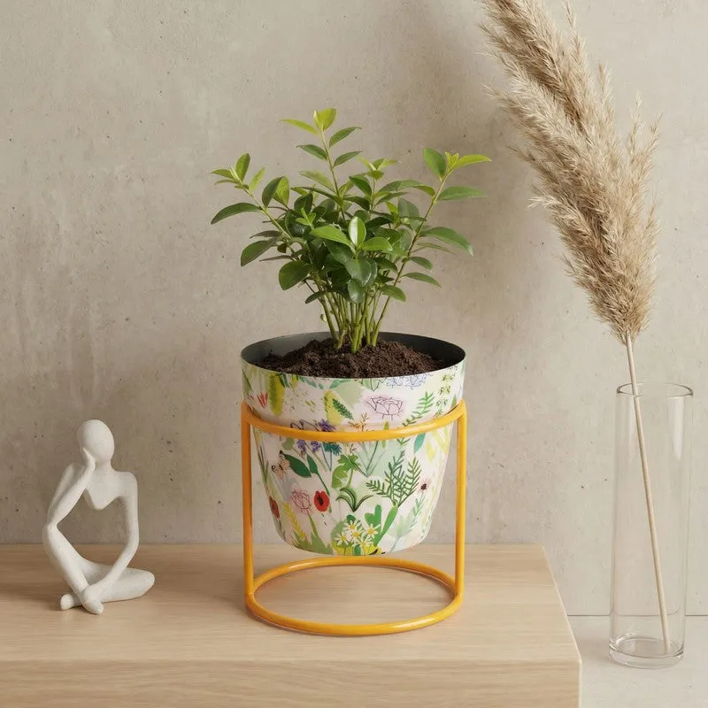 Concrete Metal Planters With Stand - Two Piece Set media 7