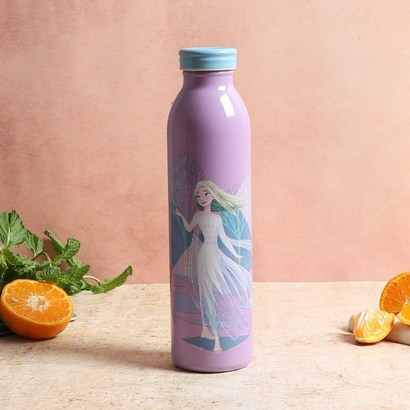 Feme Belle Insulated Water Bottle - 650 mL - 650 mL