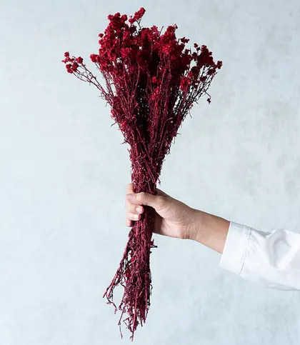 Dried Flowers & Leaves