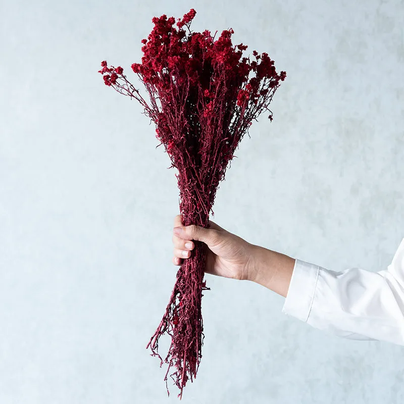 Gypsa Dried Baby's Breath Bunch - Maroon media 1