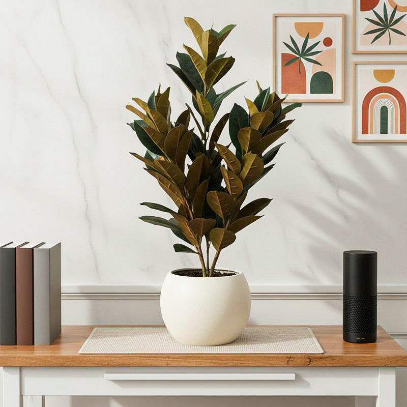 Everfern Artificial Rubber Plant With Black Plastic Pot - 2.8 Feet